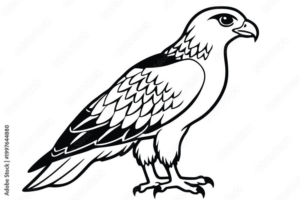 Fototapeta premium buzzard bird silhouette line art vector illustration with a white background