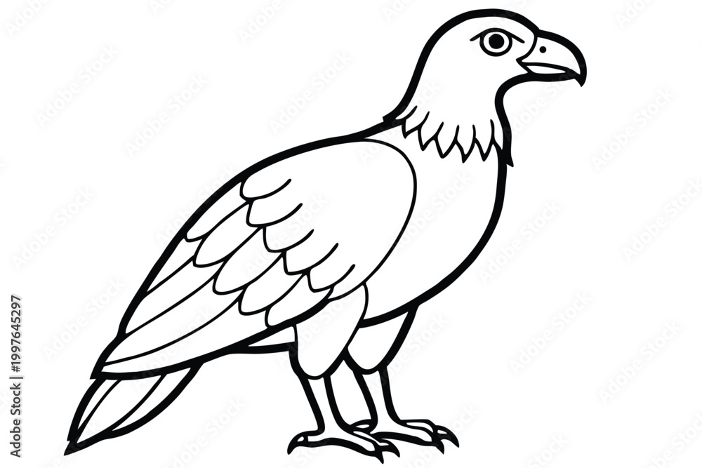Fototapeta premium buzzard bird silhouette line art vector illustration with a white background