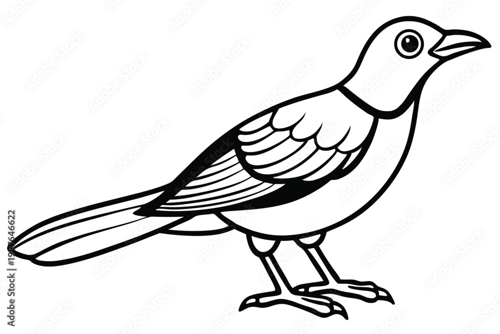 Obraz premium bowerbird silhouette line art vector illustration with a white background