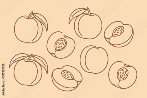 Outline of peaches and peach halves with leaves on a light peach background fruit simple minimalist