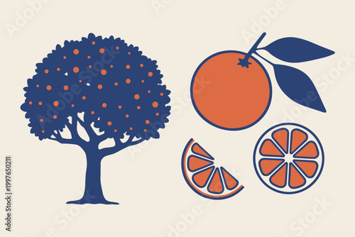 Blue orange tree with fruit and orange slices on cream background fruit tree citrus