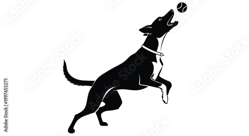 A dog playing with a ball is depicted in a stylized black and white graphic illustration that captures the athletic motion of the happy dog.