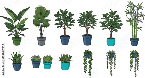 Set of Indoor Houseplant Illustrations Featuring Various Potted Greenery Including Rubber Plant Bamboo Succulents and Hanging Vines for Home Decor and Interior Design
