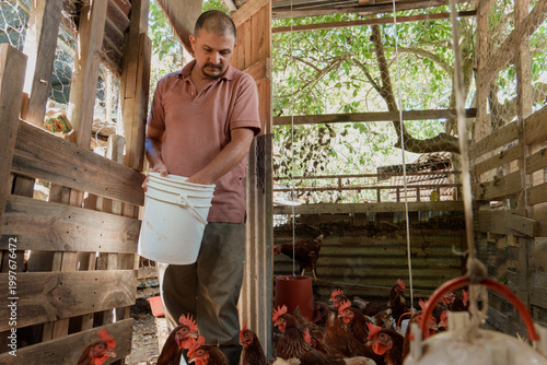 Photos Latin american farmer feeding chickens in poultry farm