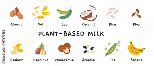 Plant based milk set with almond, oat, soy, coconut, rice and more. Dairy free alternatives for vegan diet, coffee drinks and healthy lifestyle. Trendy modern vector illustration, hand drawn, flat