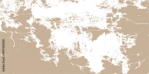 An abstract visual with a rugged, textured surface showcases a captivating interplay of beige and white hues, evoking a sense of weathered charm and natural elements.