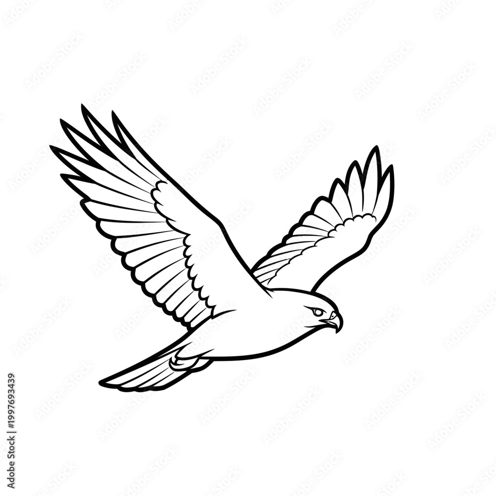 Obraz premium Soaring hawk in flight, a majestic bird of prey, detailed illustration.