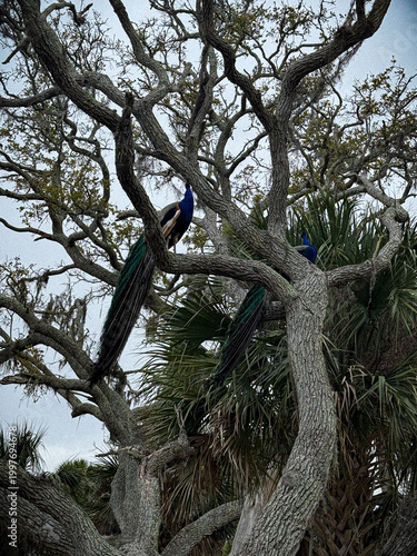 bird on tree
