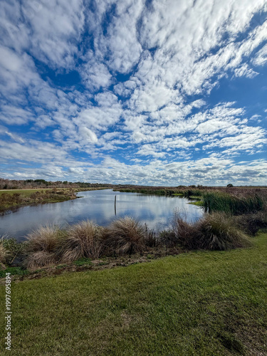 landscape with river