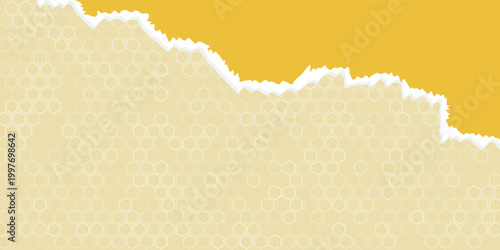 Minimal Abstract Yellow Split Ripped Paper Torn Banner Design