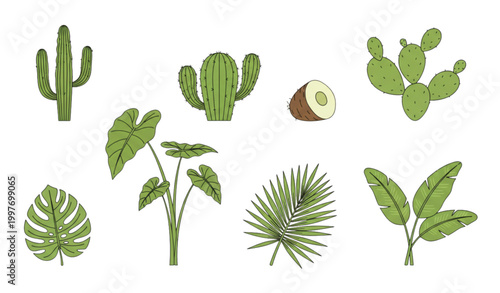 Transparent style plant vector set with cactus taro and tropical foliage cut out elements isolated on white background