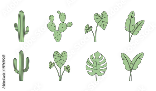 Minimal cut out plant vector set with cactus taro and simple foliage elements isolated on white background