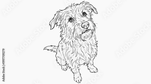 dog sketch drawing in line art style