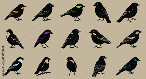 A collection of diverse blackbirds exploring variations in plumage and bird species