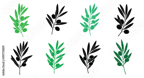 Olive branch collection a botanical study in green and black tones