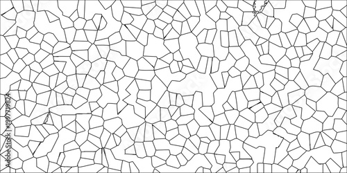 Abstract Geometric Tessellation Pattern Black Lines on White Background Organic Cell Structure Vector Art
