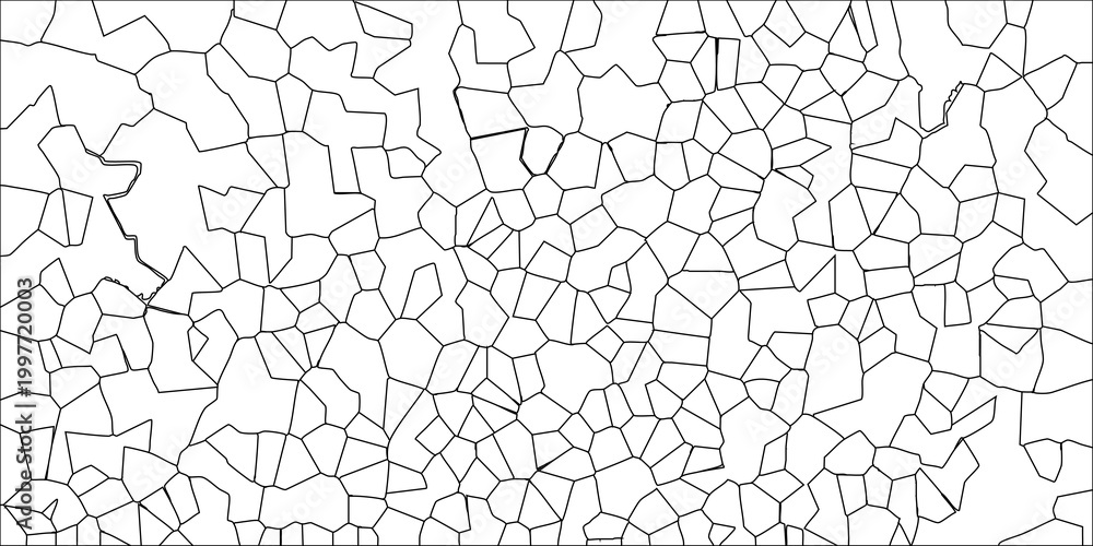 Fototapeta premium Detailed Black and White Voronoi Pattern Vector with Organic Polygonal Cells and Subtle Irregularities