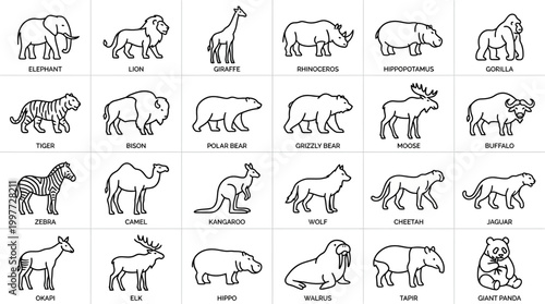 Collection of various animal line drawings.