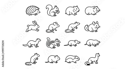 Collection of various rodent animals.