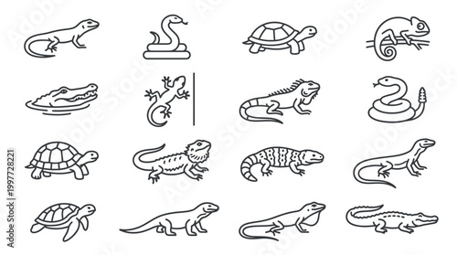Collection of various reptile line drawings.
