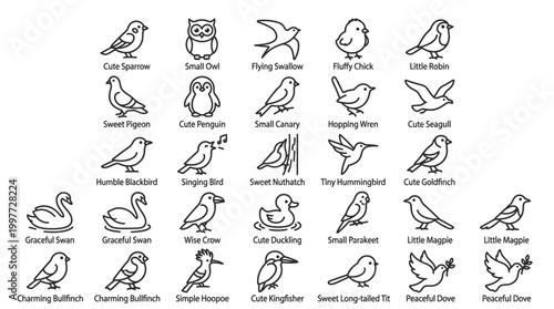 Variety of different bird species.
