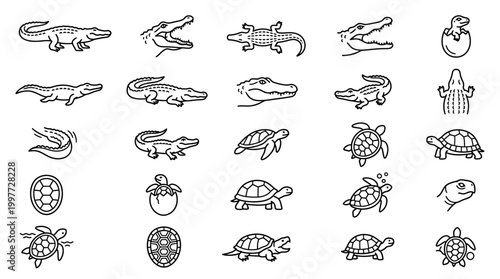 Turtles and tortoises line icons.