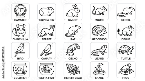 Variety of small cute animals icons.