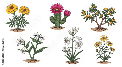Vibrant Illustrated Collection of Desert Plants and Flowers.