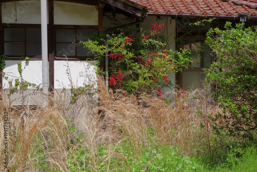 Photos 雑草の伸びた管理されていない日本家屋
