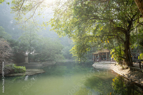 soft morning sunlight filters through the dense canopy, casting a hazy glow over a calm lake surrounded by lush tropical greenery, tall bamboo trees and a traditional-style pavilion with a thatched ro