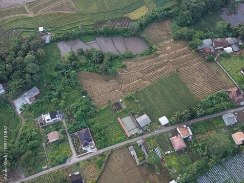 Fotografía Aerial Drone Shot of Rural Village, Rice Paddy Fields, and Agricultural Land