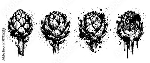 artichoke , Grunge brush distressed paint splatter vector set 