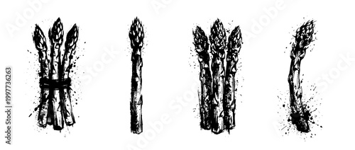 asparagus , Grunge brush distressed paint splatter vector set 