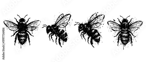 bee , Grunge brush distressed paint splatter vector set 