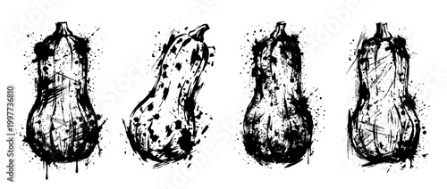 butternut squash , Grunge brush distressed paint splatter vector set 