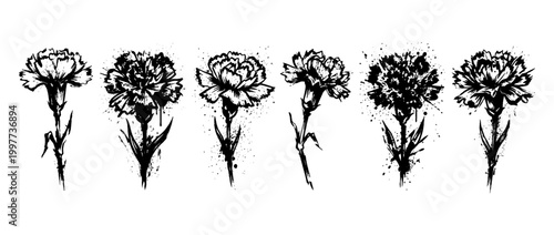 carnation , Grunge brush distressed paint splatter vector set 