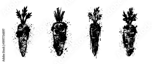 carrot , Grunge brush distressed paint splatter vector set 
