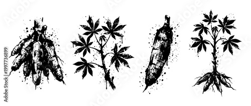 cassava , Grunge brush distressed paint splatter vector set 