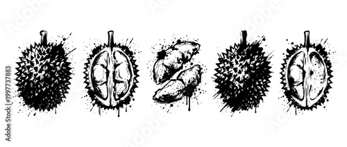 durian , Grunge brush distressed paint splatter vector set 