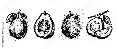 guava , Grunge brush distressed paint splatter vector set 