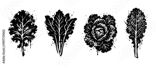 kale , Grunge brush distressed paint splatter vector set 