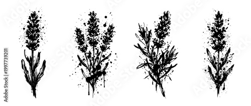 lavender , Grunge brush distressed paint splatter vector set 
