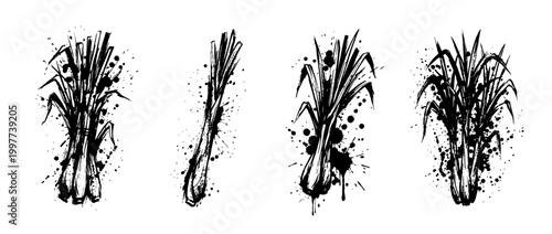 lemongrass , Grunge brush distressed paint splatter vector set 