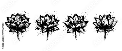 lotus , Grunge brush distressed paint splatter vector set 