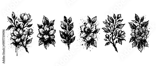 magnolia , Grunge brush distressed paint splatter vector set 