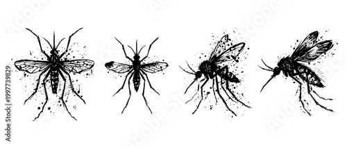 mosquito , Grunge brush distressed paint splatter vector set 