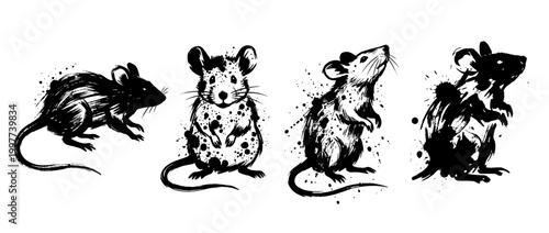 mouse , Grunge brush distressed paint splatter vector set 