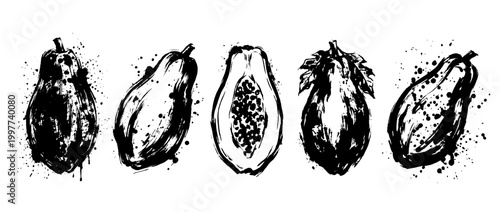 papaya , Grunge brush distressed paint splatter vector set 