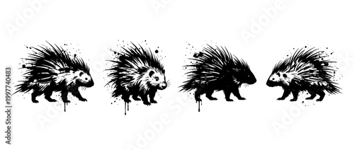 porcupine , Grunge brush distressed paint splatter vector set 