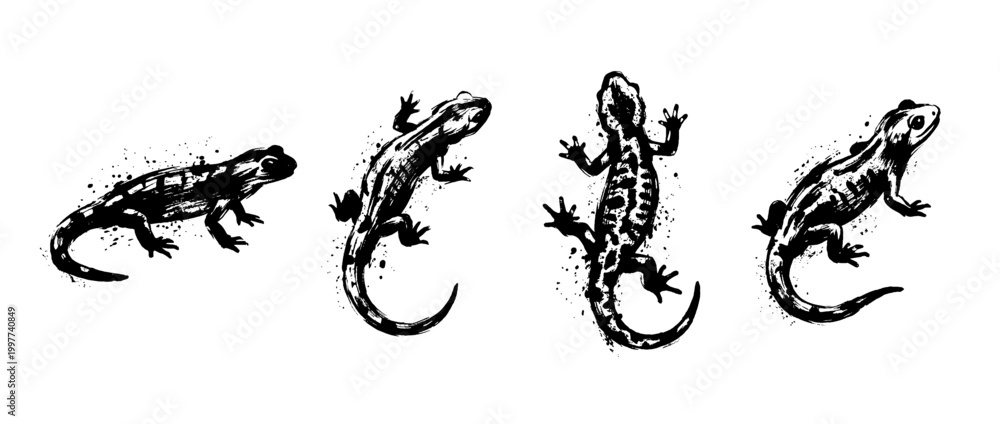 Fototapeta premium salamander , Grunge brush distressed paint splatter vector set 